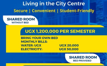 Are you looking for the perfect place to stay while studying?